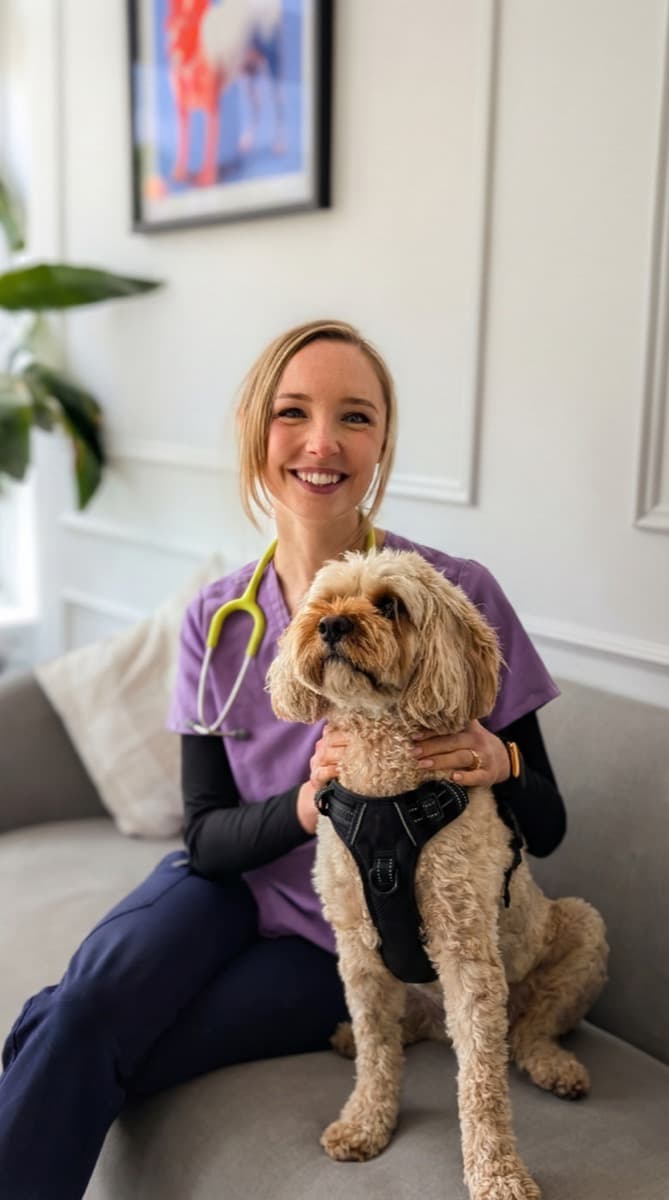 Dr Rebecca Massie, veterinary surgeon
